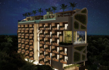 México- Rivera Maya – Puerto Morelos – Alux33