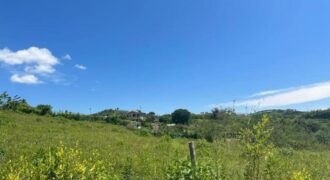 Lote Entre Virginia Risaralda Y Viterbo Risaralda